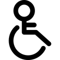 Niepełnosprawny